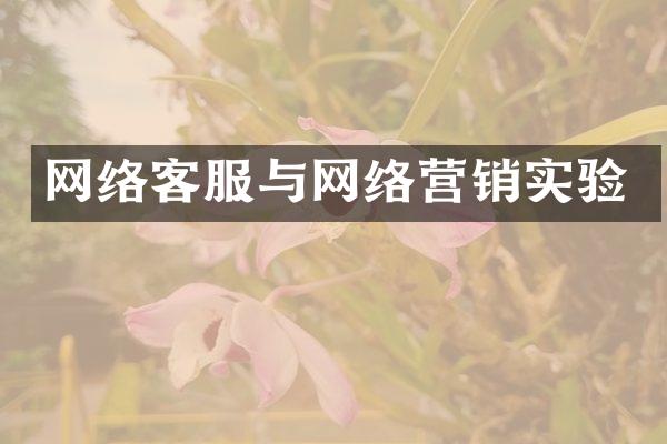 网络客服与网络营销实验