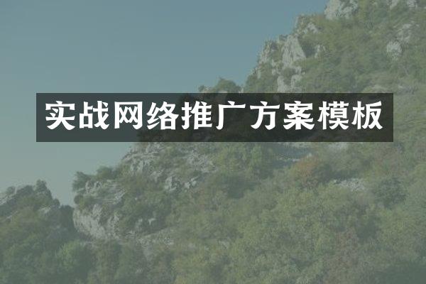 实战网络推广方案模板