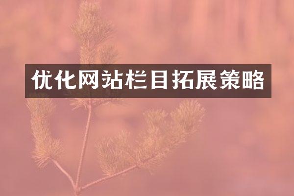 优化网站栏目拓展策略