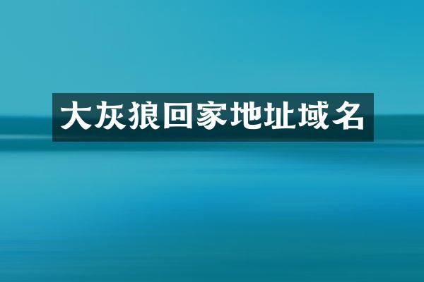 大灰狼回家地址域名
