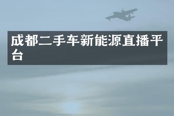 成都二手车新能源直播平台