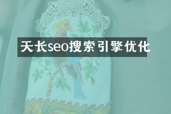 天长seo搜索引擎优化