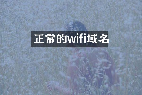 正常的wifi域名