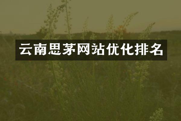 云南思茅网站优化排名