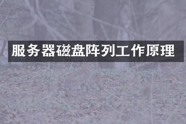 服务器磁盘阵列工作原理