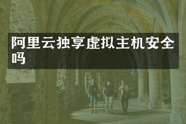 阿里云独享虚拟主机安全吗