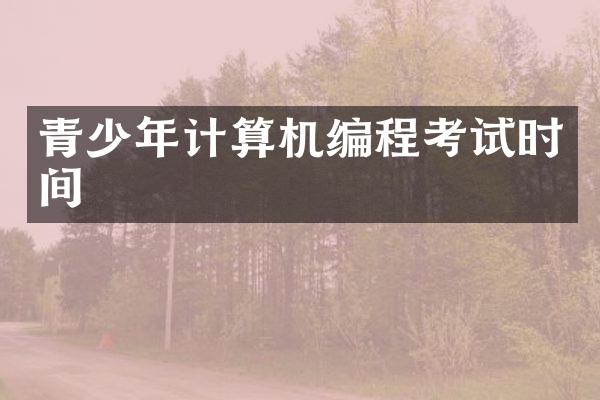青少年计算机编程考试时间