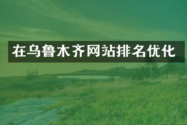 在乌鲁木齐网站排名优化