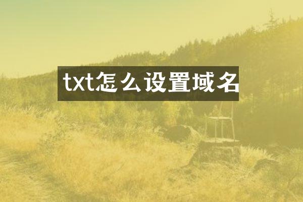 txt怎么设置域名