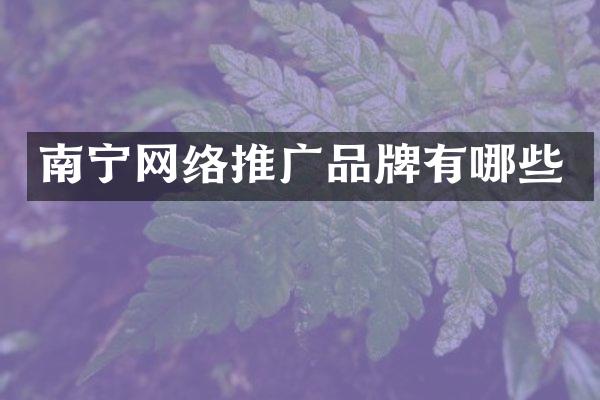 南宁网络推广品牌有哪些