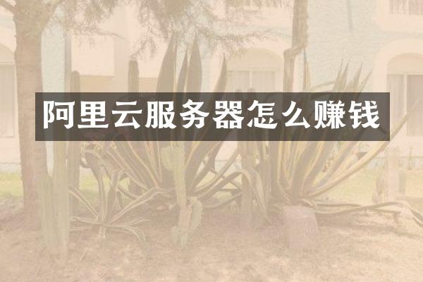 阿里云服务器怎么赚钱
