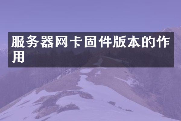 服务器网卡固件版本的作用