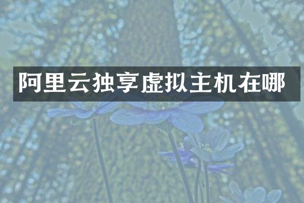 阿里云独享虚拟主机在哪