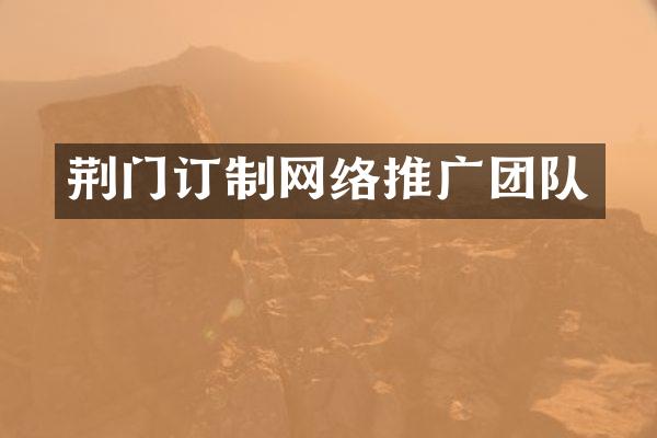 荆门订制网络推广团队