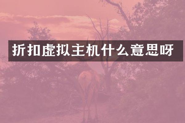 折扣虚拟主机什么意思呀