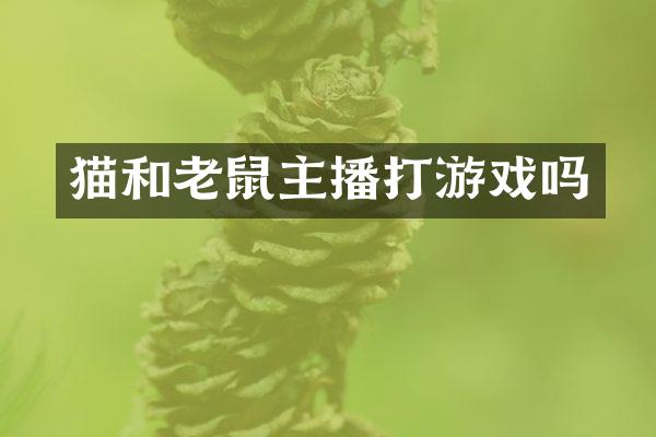 猫和老鼠主播打游戏吗