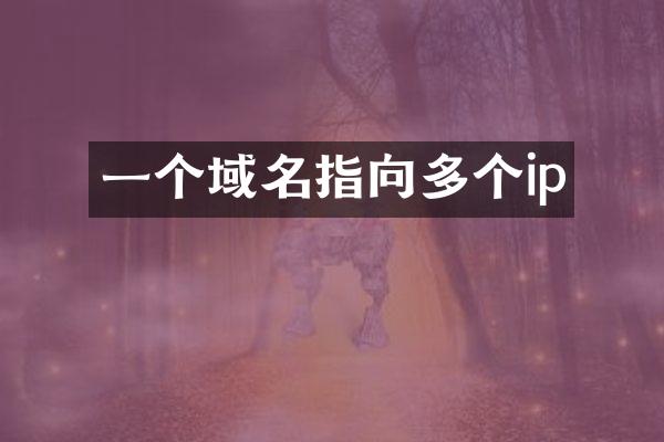一个域名指向多个ip
