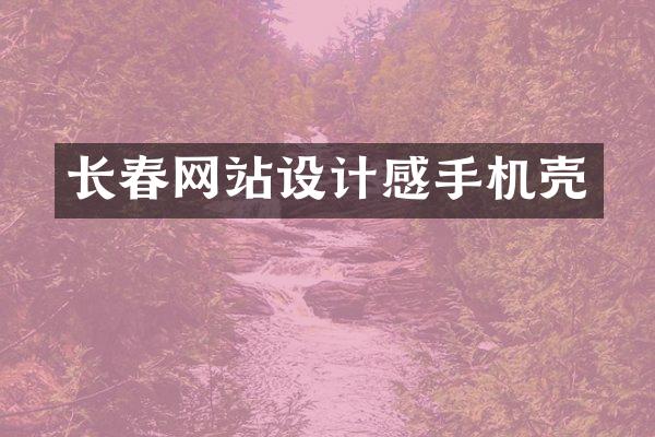 长春网站设计感手机壳