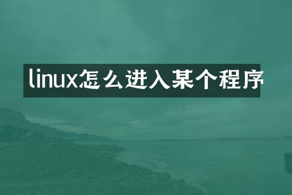 linux怎么进入某个程序