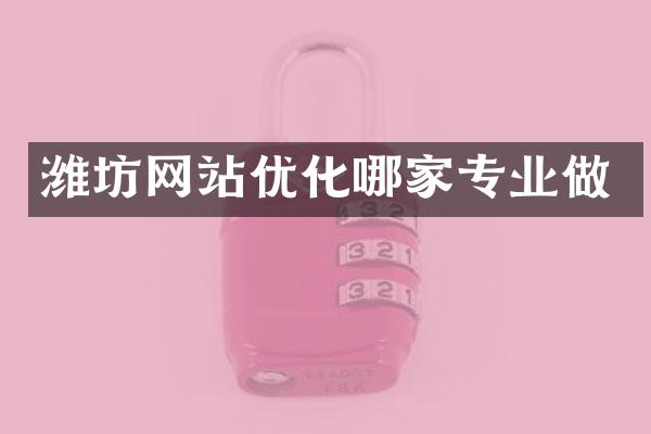 潍坊网站优化哪家专业做