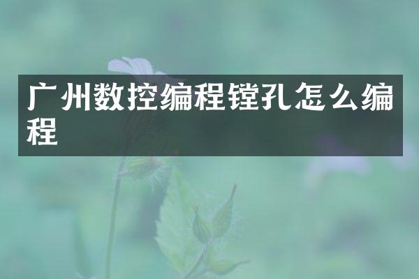 广州数控编程镗孔怎么编程