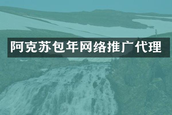 阿克苏包年网络推广代理