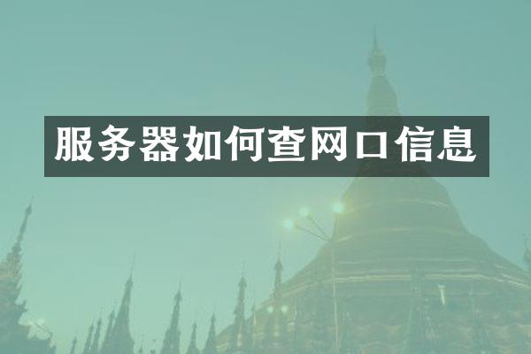 服务器如何查网口信息