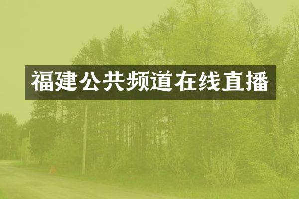 福建公共频道在线直播