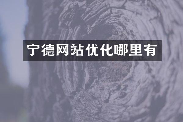 宁德网站优化哪里有