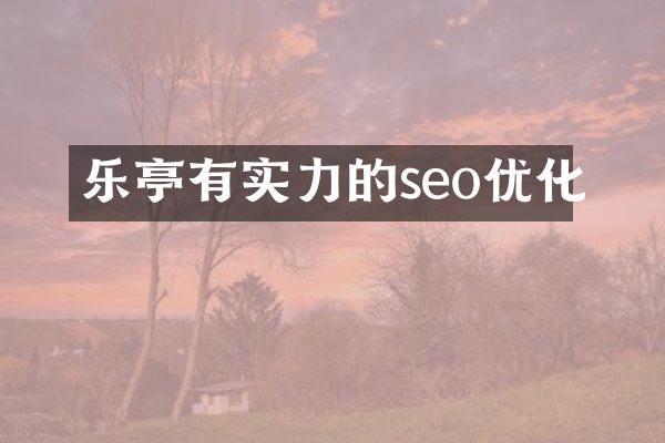 乐亭有实力的seo优化