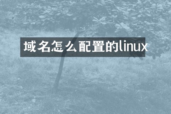 域名怎么配置的linux