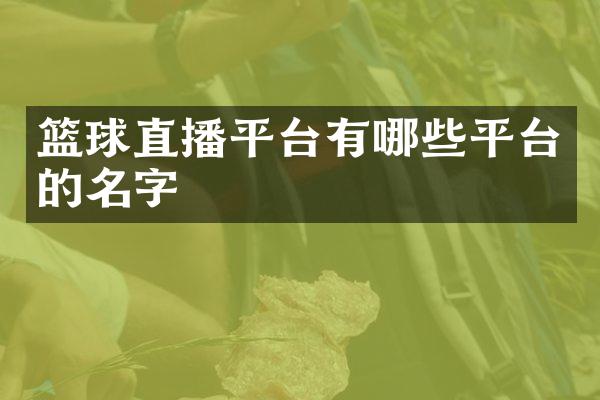 篮球直播平台有哪些平台的名字