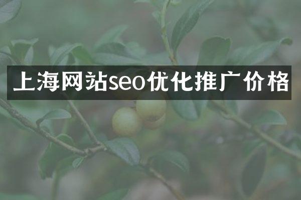 上海网站seo优化推广价格