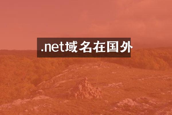 .net域名在国外