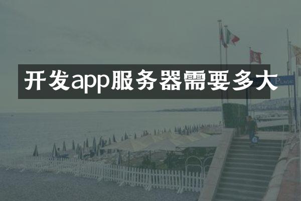 开发app服务器需要多大