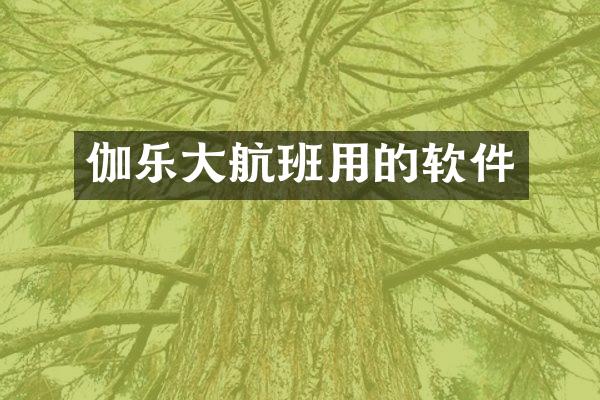 伽乐大航班用的软件
