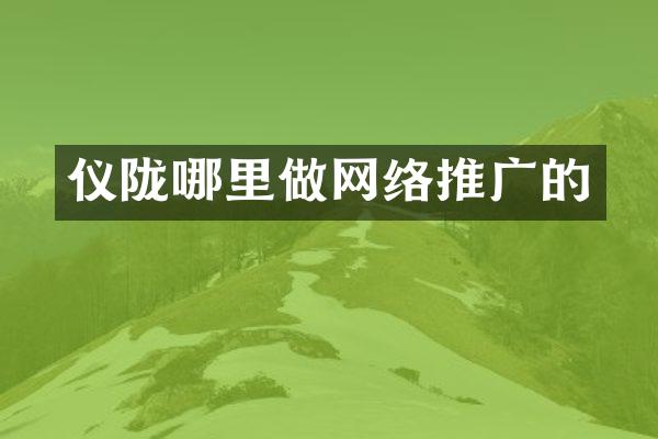 仪陇哪里做网络推广的