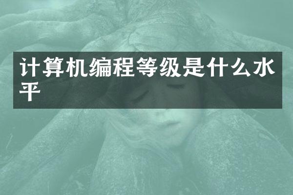 计算机编程等级是什么水平