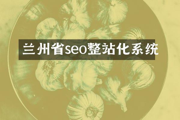 兰州省seo整站化系统