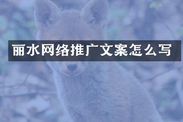 丽水网络推广文案怎么写