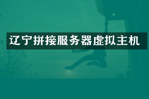 辽宁拼接服务器虚拟主机