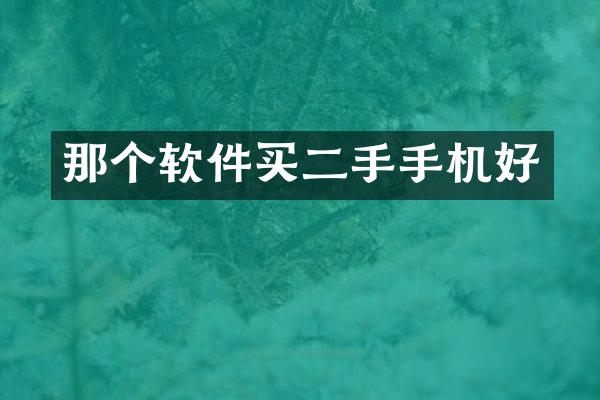 那个软件买二手手机好