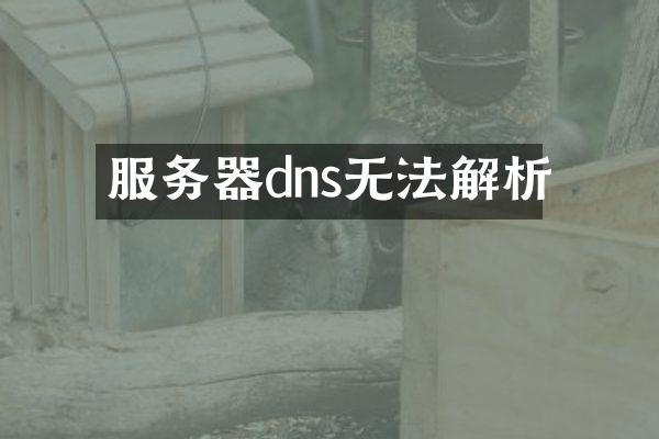 服务器dns无法解析