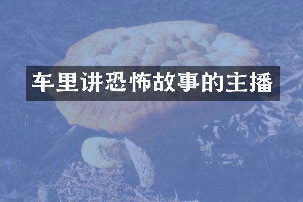 车里讲恐怖故事的主播
