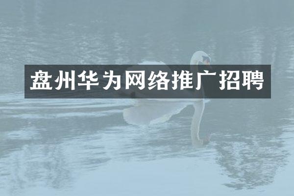 盘州华为网络推广招聘