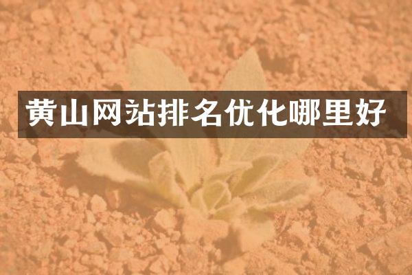 黄山网站排名优化哪里好