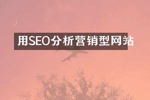 用SEO分析营销型网站
