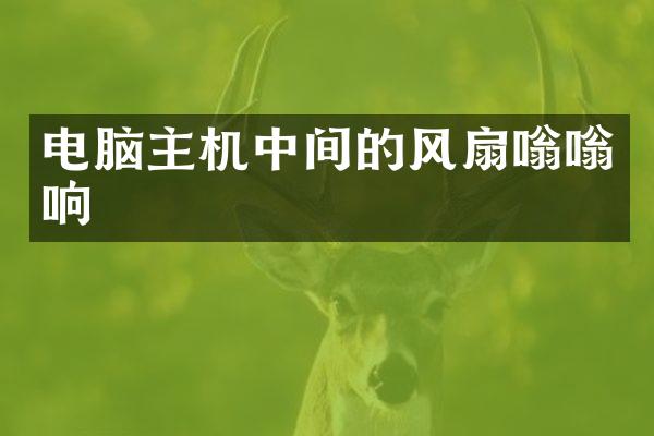 电脑主机中间的风扇嗡嗡响