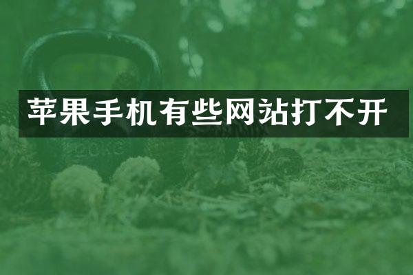 苹果手机有些网站打不开