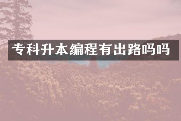 专科升本编程有出路吗吗